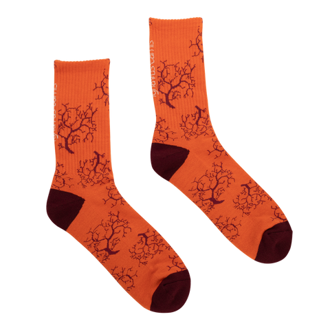 Crawl Logo Socks