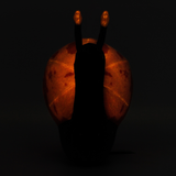 Moon Snail Plushie