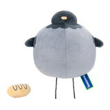 Boing the Pigeon