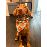 Waffles the Vizsla Plushie