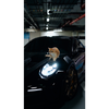 Cats and Cars Plushie