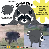 Jimothy the Raccoon