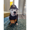 Lincoln Plushie
